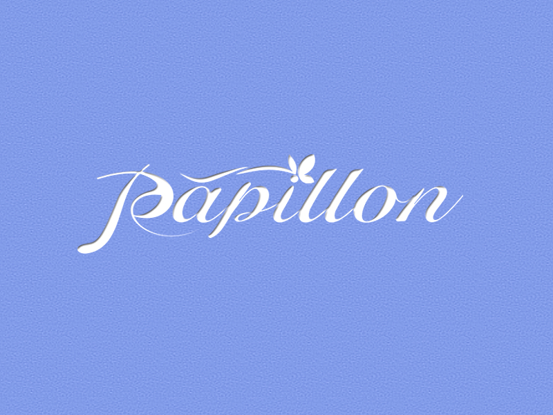 李杰的PAPILLONlogo設(shè)計(jì)